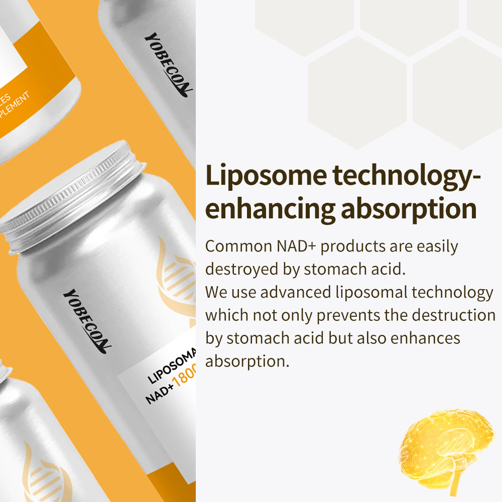 NAD Plus Supplement 18000mg Liposomal NAD+ Quercetin Trans-Resveratrol D-Ribose