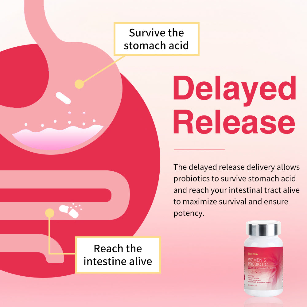 60 Billion probiotics Women's Intimate Probiotic Capsules - PH Balance Odor Control Natural Lubrication Elasticity Cranberry Kacip Fatimah Fenugreek Support for Yeast & Vaginal Health, 60 Gentle Daily Care Capsules Festival perfect gift for women